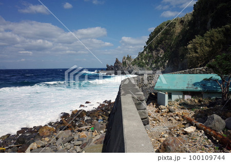 口永良部島 100109744