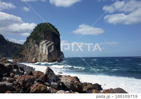 口永良部島 100109759