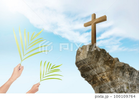 Palm Sunday Palm Sunday 100109764