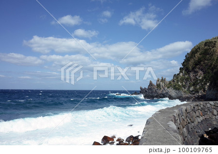 口永良部島 100109765