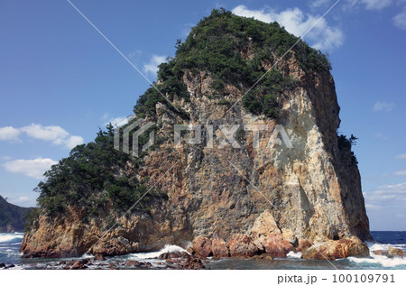 口永良部島 100109791