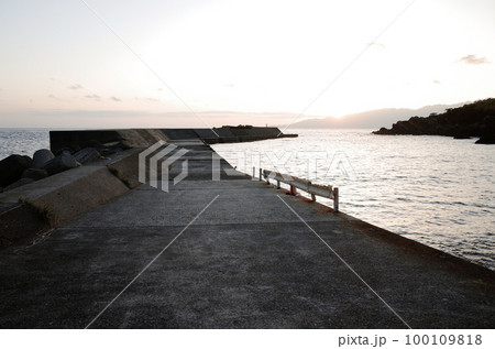 口永良部島 100109818
