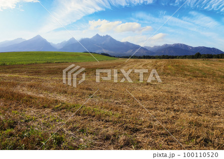 scenic rural tatra mountain landscape in slovakia. agricultural fields in the valley 100110520