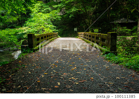 夏の帝釈峽 100111385