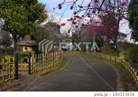 柳原千草園　足立区柳原 100111616