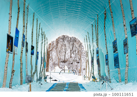 支笏湖氷濤まつり 100111651