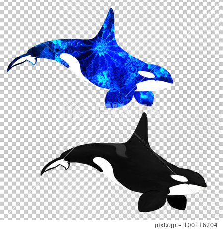 Simple killer whale + fantastic patterned killer whale 100116204