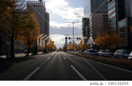 都市大通りの紅葉並木と高層ビル 都市大通りの紅葉並木と高層ビル 100116205