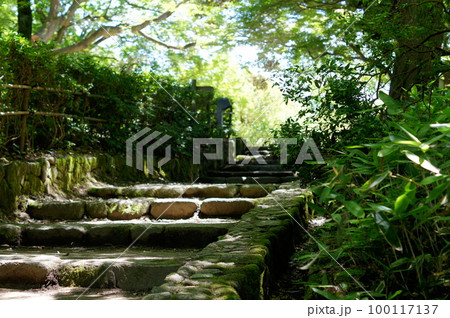 公園にある石階段 100117137
