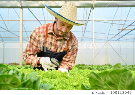 Image of farmer with magnifying glass checking plants in hydroponic greenhouse. Agricultural business concept Image of farmer with magnifying glass checking plants in hydroponic greenhouse. Agricultural business concept 100118049