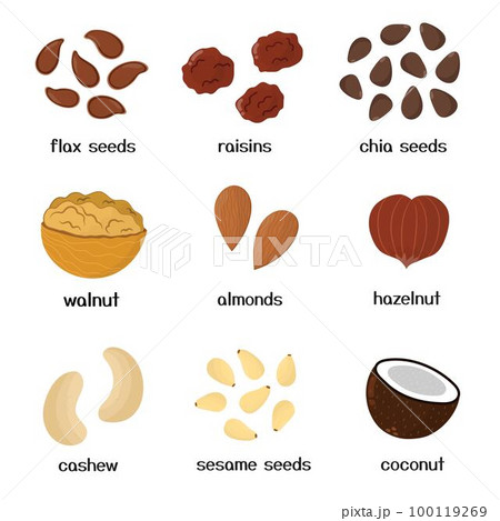Nuts and seeds collection. Set of healthy food isolated elements in cartoon style 100119269