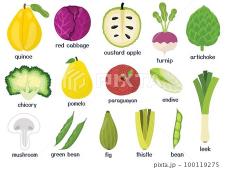 Fruits and vegetables set. Collection of healthy food isolated elements in cartoon style 100119275