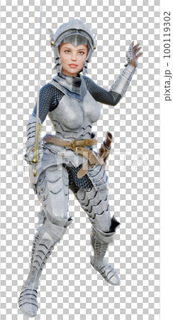 シルバー ナイト 100119302