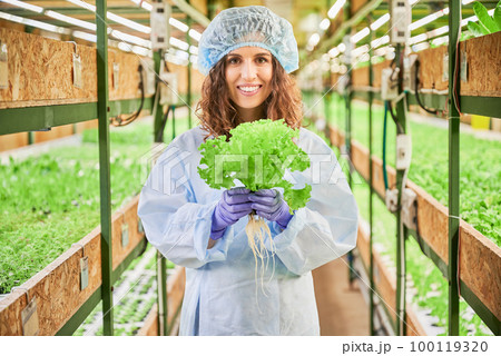 Portrait of joyful female gardener holding green lettuce in greenhouse. Cheerful young woman in garden gloves with green leafy plant in hands standing on blurred background. 100119320