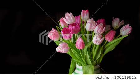 Copy space of tulip flowers in a vase against a black background. Closeup of beautiful flowering plants with pink petals and green leaves blooming and blossoming. A gift bouquet for Valentines Day Copy space of tulip flowers in a vase against a black background. Closeup of beautiful flowering plants with pink petals and green leaves blooming and blossoming. A gift bouquet for Valentines Day 100119915