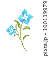 花の水彩イラスト 100119979