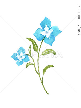 花の水彩イラスト 100119979