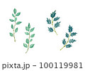 植物の水彩イラスト 100119981