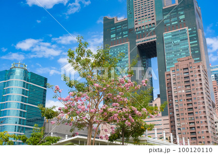 台湾 春の高雄市 台湾 春の高雄市 100120110