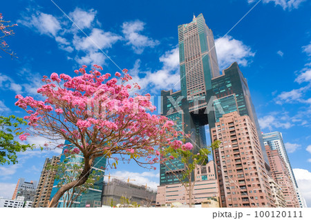 台湾 春の高雄市 100120111