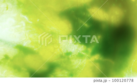 緑系の色彩が混ざり合う、和みの抽象背景画像 緑系の色彩が混ざり合う、和みの抽象背景画像 100120778