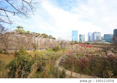 大阪城公園の梅林、盛りなり、大阪城にある梅林は今日もにぎわう。3月初旬のこと、梅、大阪城、 大阪城公園の梅林、盛りなり、大阪城にある梅林は今日もにぎわう。3月初旬のこと、梅、大阪城、 100121058