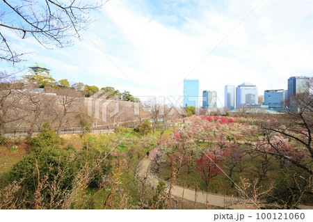 大阪城公園の梅林、盛りなり、大阪城にある梅林は今日もにぎわう。3月初旬のこと、梅、大阪城、 大阪城公園の梅林、盛りなり、大阪城にある梅林は今日もにぎわう。3月初旬のこと、梅、大阪城、 100121060
