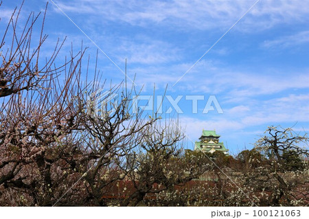 大阪城公園の梅林、盛りなり、大阪城にある梅林は今日もにぎわう。3月初旬のこと、梅、大阪城、 100121063