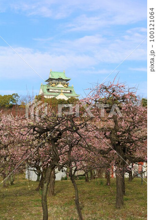 大阪城公園の梅林、盛りなり、大阪城にある梅林は今日もにぎわう。3月初旬のこと、梅、大阪城、 100121064