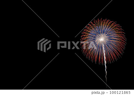 花火 100121865