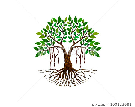 Banyan tree logo with circle shaped 100123681