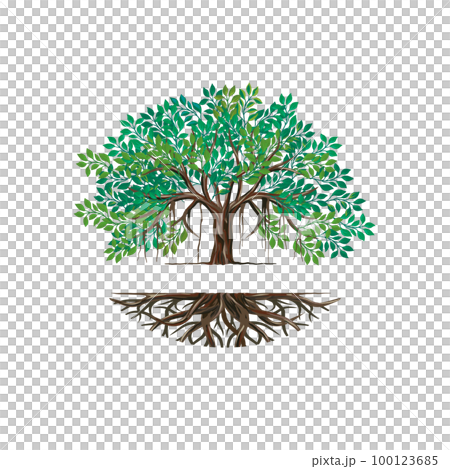 Banyan tree and root logo  100123685