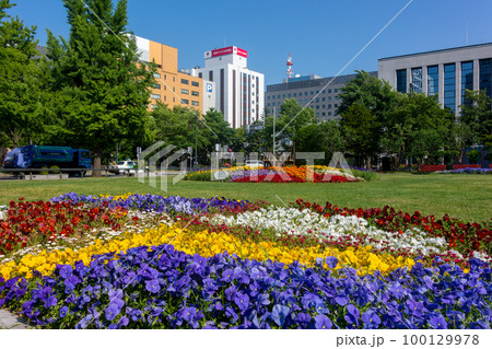 札幌市大通公園初夏_00918 札幌市大通公園初夏_00918 100129978
