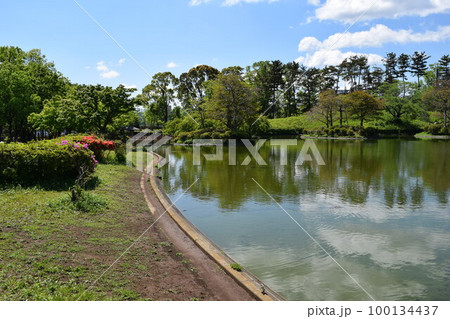 松見公園 茨城県つくば市 松見公園 茨城県つくば市 100134437