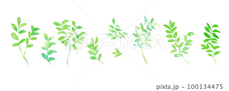 水彩画。水彩タッチの手書きの植物ベクターイラスト。 水彩画。水彩タッチの手書きの植物ベクターイラスト。 100134475