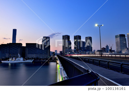 豊洲大橋から観た晴海・勝どき・月島エリアの高層マンション群の夜景 100136161