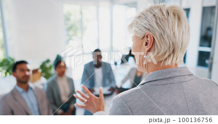 Back, business and woman talking, workshop and presentation for partnership, corporate deal and office. Female, ceo and leader speaking, proposal and management for marketing, leadership and team. 100136756