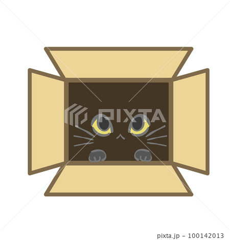 段ボール箱から覗く猫の目 100142013