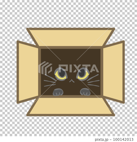 Cat's eyes peeking out of a cardboard box 100142013