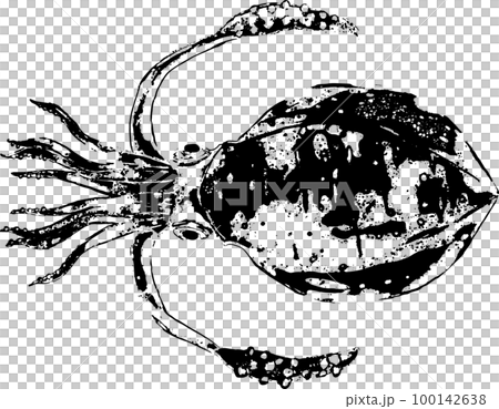 アオリイカの墨絵・魚拓 アオリイカの墨絵・魚拓 100142638