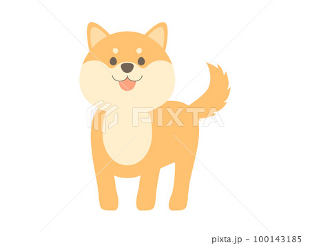 笑顔で立っている柴犬 100143185