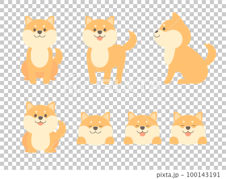 Shiba Inu set of various poses Shiba Inu set of various poses 100143191