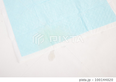 犬用のペットシーツ　失敗・粗相しているところ　 100144820