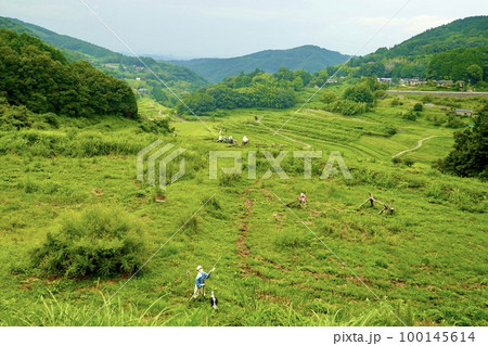 日本の棚田百選「大垪和西(おおはがにし)棚田」にカカシがいる風景 岡山県久米郡 日本の棚田百選「大垪和西(おおはがにし)棚田」にカカシがいる風景 岡山県久米郡 100145614