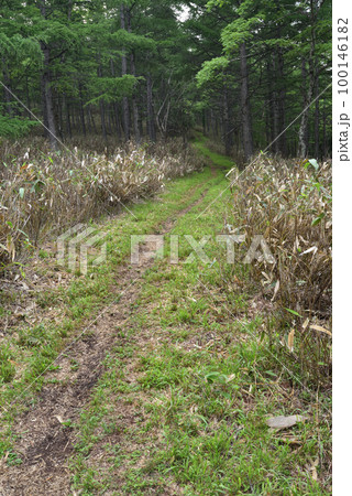 鶏頂山登山、藤原登山口より 鶏頂山登山、藤原登山口より 100146182