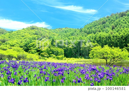 大平あやめ公園 100146581