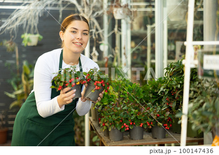 Woman seller holding wintergreen in flower shop 100147436