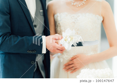 結婚式でケーキ入刀をする新郎新婦(ウェディングケーキ・ケーキカット) 100147647