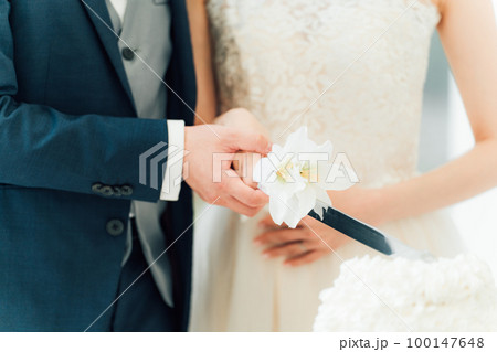 結婚式でケーキ入刀をする新郎新婦(ウェディングケーキ・ケーキカット) 100147648