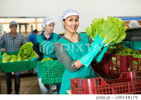 Portrait of female worker standing with fresh lettuce in her hands at vegetable sorting factory 100148179